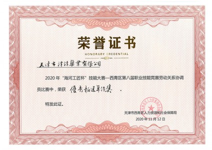 2020年“海河工匠”杯技能大赛-劳动关系协调员-优秀报送单位奖